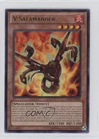 V Salamander