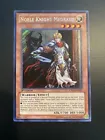 Noble Knight Medraut