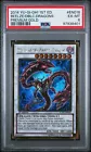Beelze of the Diabolic Dragons