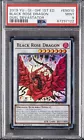 Black Rose Dragon