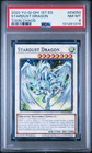 Stardust Dragon