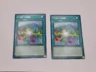 Cynet Codec
