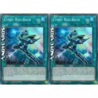 Cynet Rollback
