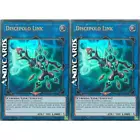 Link Disciple
