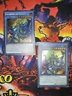 Illusion of Chaos