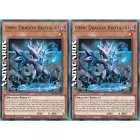 Omni Dragon Brotaur