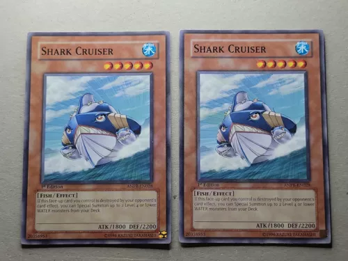 Shark Cruiser