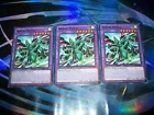Familiar-Possessed - Eria