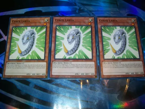 Cyber Larva
