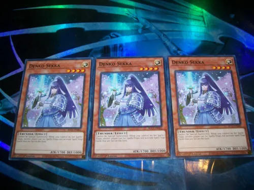 Denko Sekka