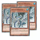 Blizzard Dragon