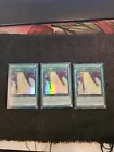 Freezing Chains of the Ice Barrier