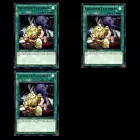 Curse of Anubis