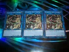 Gladiator Beast Dareios