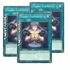 Card Guard