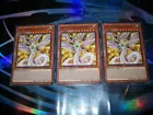 Light End Sublimation Dragon