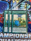 Miracle Fertilizer