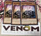Phantom of Chaos
