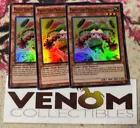 Prediction Princess Coinorma