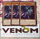 Vendread Anima