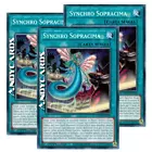 Synchro Overtop