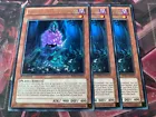 Sylvan Snapdrassinagon