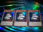 Rescue Hedgehog