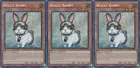 Rescue Rabbit