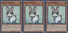 Rescue Rabbit
