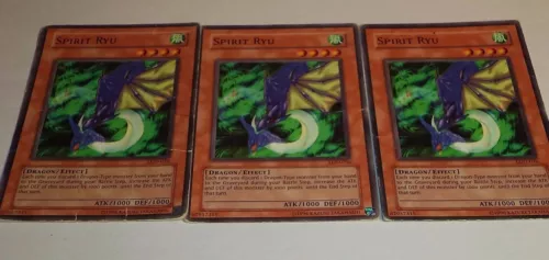 Spirit Ryu
