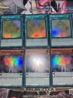 Wings of Light