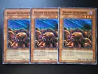 The Phantom Knights of Tomb Shield
