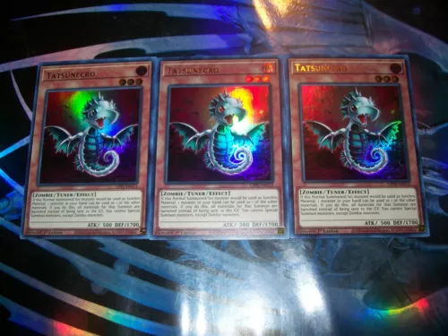 Necro Gardna