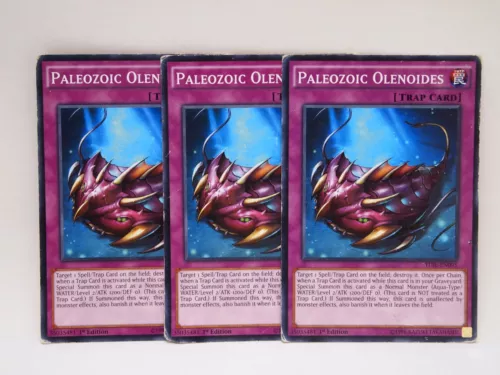 Paleozoic Olenoides
