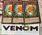 Sylvan Komushroomo