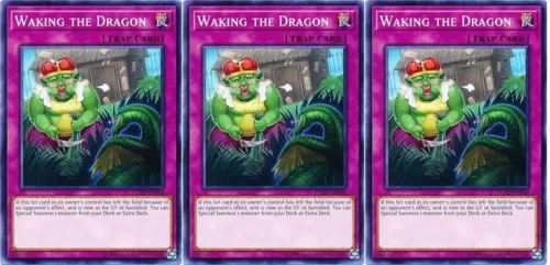 Waking the Dragon