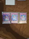 Dark Magician