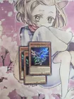 Noctovision Dragon