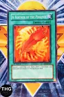A Feather of the Phoenix
