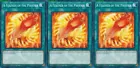 A Feather of the Phoenix