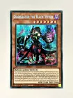 Black Dragon Ninja