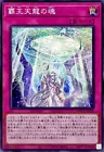 Soul of the Supreme Celestial King