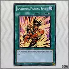 Amazoness Fighting Spirit