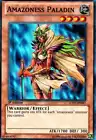 Amazoness Paladin
