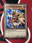 Amazoness Princess