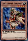 Amazoness Paladin