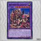 Amazoness Pet Liger