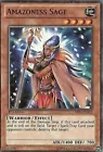 Amazoness Sage