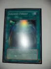 Ancient Forest
