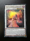 Angelica, Princess of Noble Arms